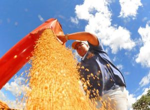 Crédito: agenciabrasil.ebc.com.br