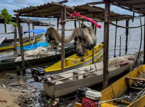 Crédito: agenciabrasil.ebc.com.br