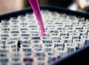 Crédito: agenciabrasil.ebc.com.br