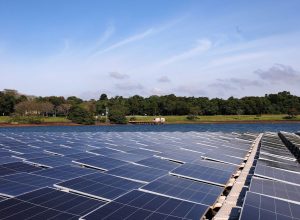 © Tânia Rêgo/Agência Brasil