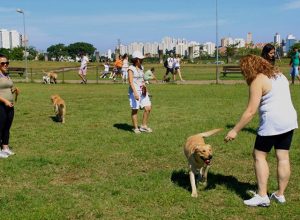 ReproduÃ§Ã£o/Parque Vila Lobos